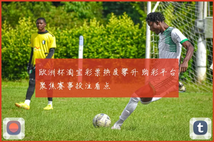 欧洲杯淘宝彩票热度攀升 购彩平台聚焦赛事投注看点