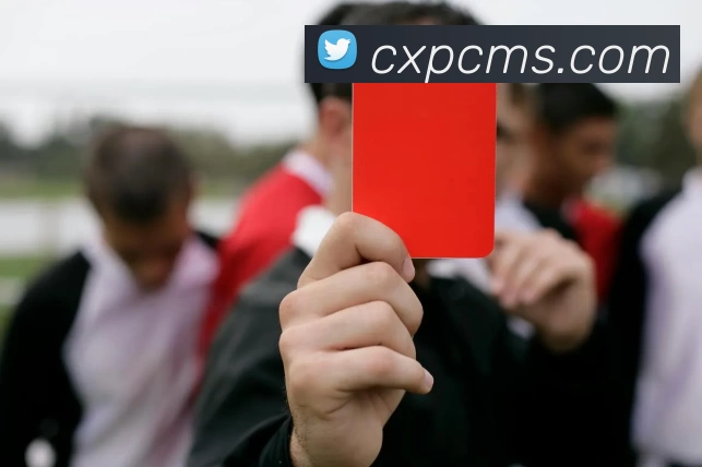 App Interface Preview